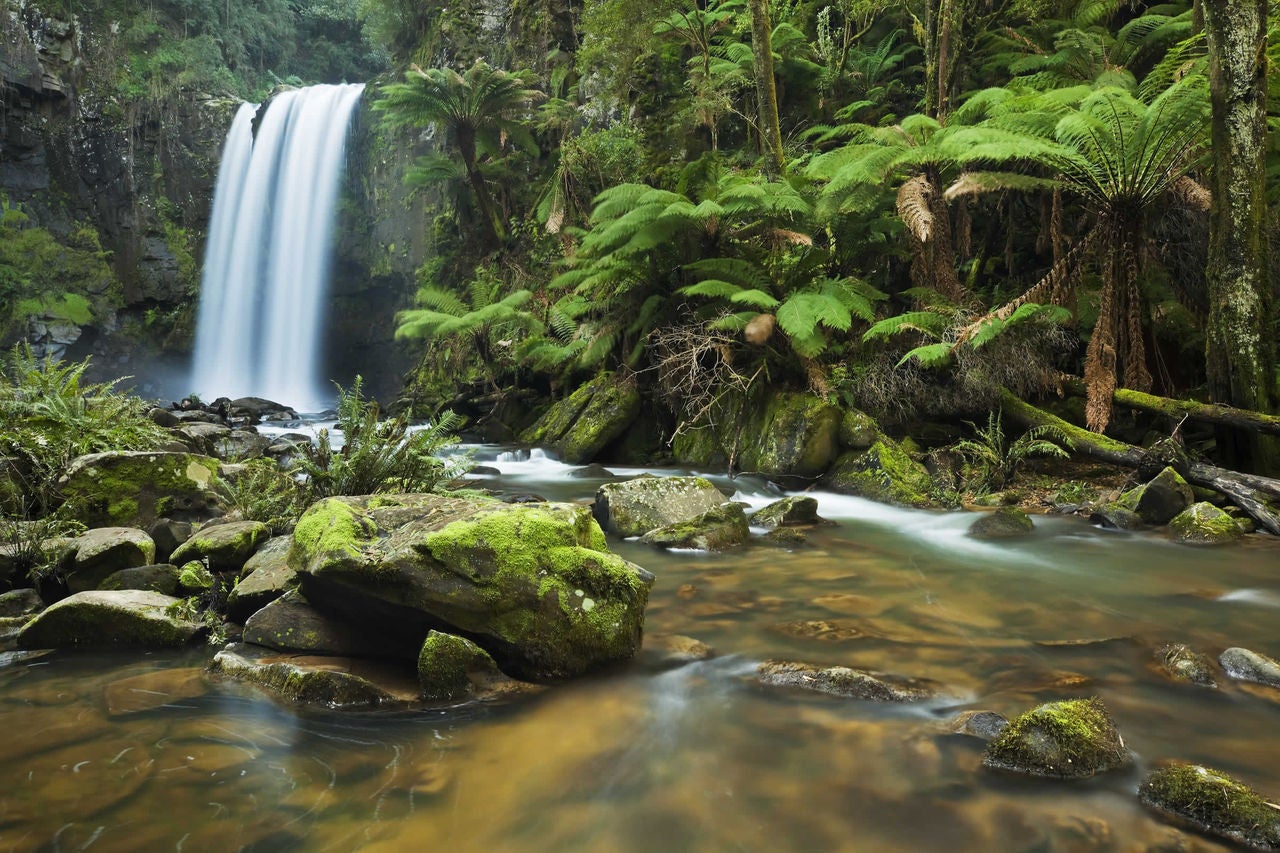 photo-otway-ranges-victoria