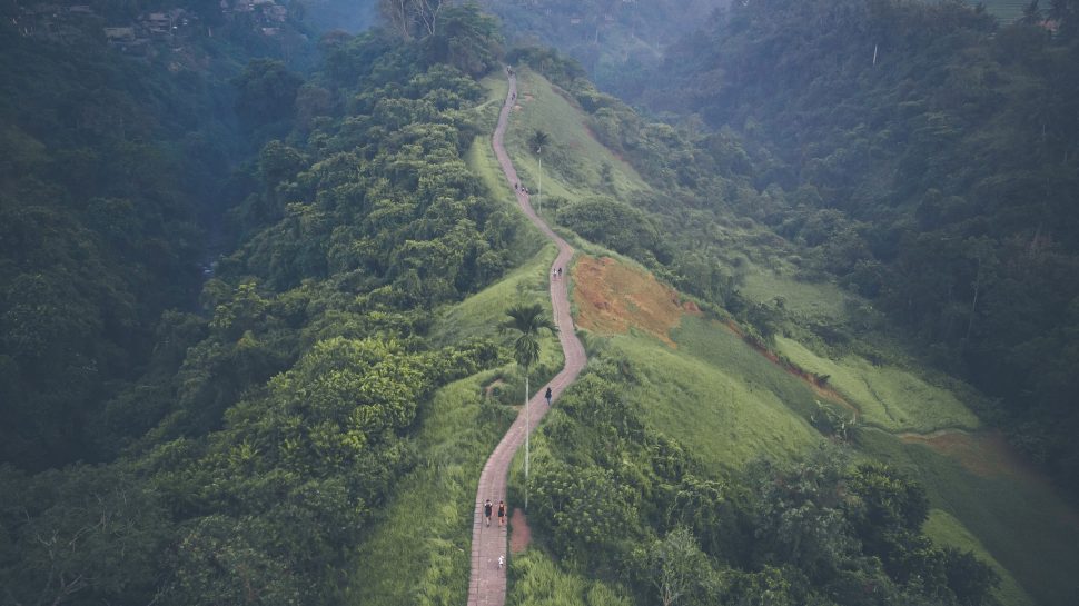 An aerial view of one of the ridge walks in Ubud, with several people dotted on down the path. 